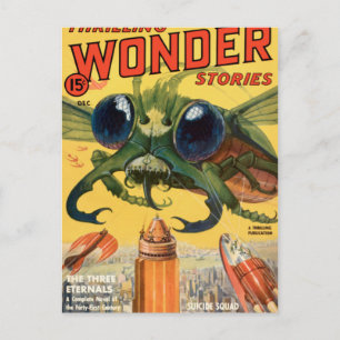 Giant Scary Fly Vykort