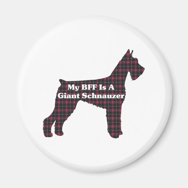 Giant Schnauzer BFF Magnet (Framsidan)