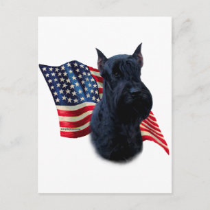 Giant Schnauzer Flagga Vykort