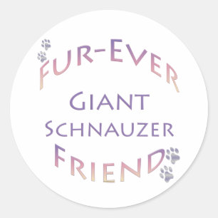 Giant Schnauzer Furever Runt Klistermärke