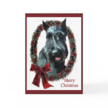 Giant Schnauzer-julklappar