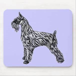 Giant Schnauzer Musmatta