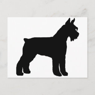 Giant Schnauzer (svart) Vykort