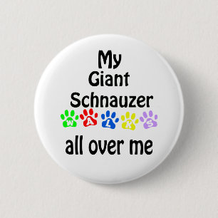 Giant Schnauzer Walks Design Knapp