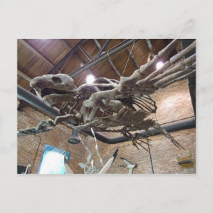Giant Sea Turtle Archelon-vykort Vykort