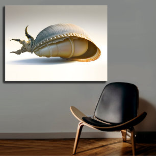 Giant Seashell Wall Art Oceanic Home Decor Canvastryck
