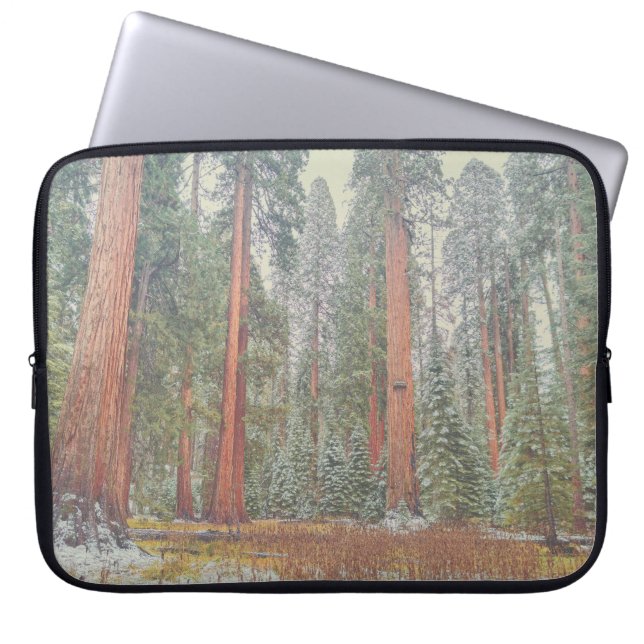 Giant Sequoia Forest Landscape Laptop Fodral (Framsidan)