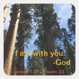 Giant Sequoia Himlar View Fyrkantigt Klistermärke