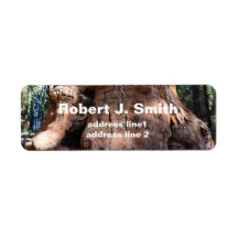 Giant sequoia träd har personliga adressetiketter.