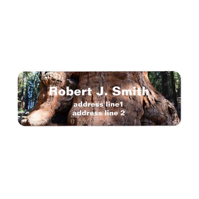 Giant sequoia träd har personliga adressetiketter. returadress etikett (Framsidan)