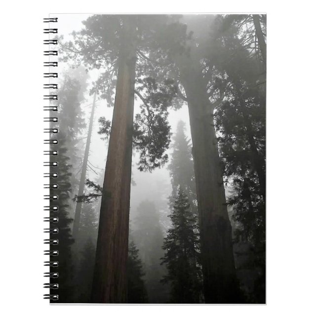 Giant Sequoia Träd i Fog, CA Anteckningsbok (Framsidan)