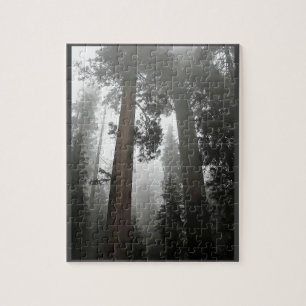Giant Sequoia Träd i Fog, CA Pussel