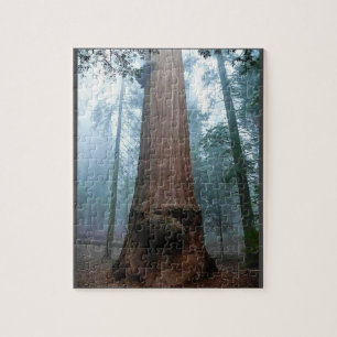 Giant Sequoia Träd in Grant Grove, CA Pussel