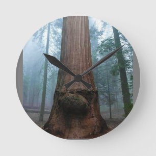 Giant Sequoia Träd in Grant Grove, CA Rund Klocka
