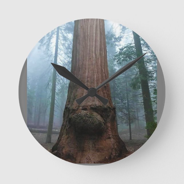 Giant Sequoia Träd in Grant Grove, CA Rund Klocka (Framsida)