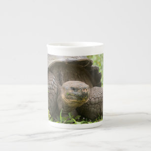 Giant sköldpadda benporslin mugg