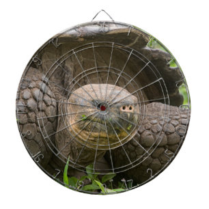 Giant sköldpadda darttavla