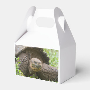 Giant sköldpadda presentaskar