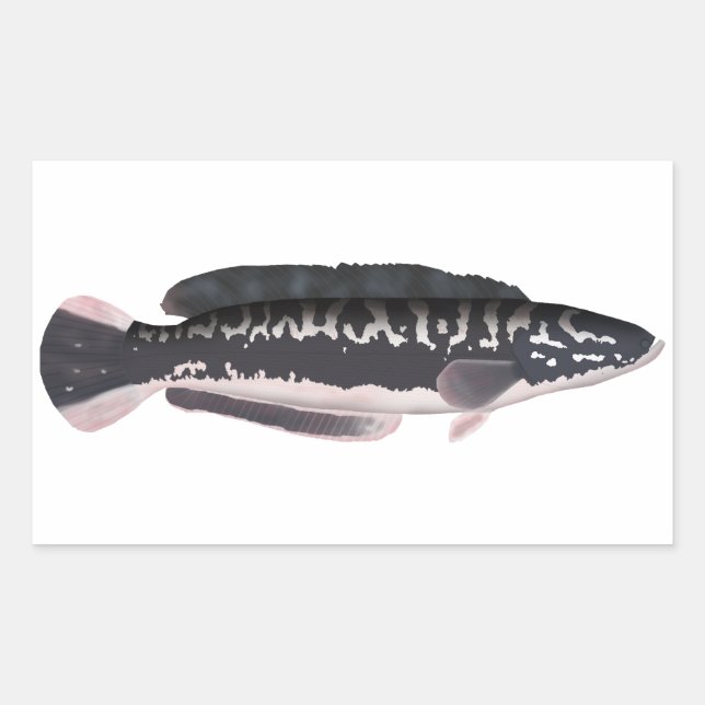 Giant Snakehead Rektangulärt Klistermärke (Framsida)