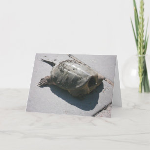 "Giant Snapping Turtle" födelsedagskort Kort