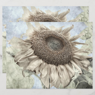 Giant Solros Gult Pastel Chic Vintage Antique