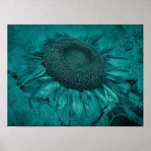 Giant Solros Teal Blue Vintage Antique Poster