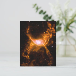 Giant Spider Nebula | Spider Älskare Gift