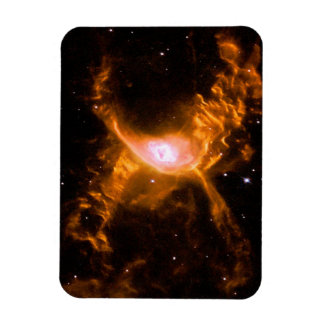 Giant Spider Nebula | Spider Älskare Gift Magnet