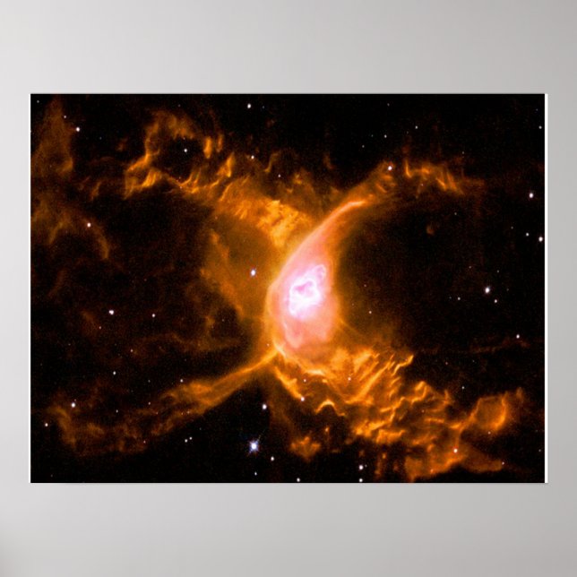 Giant Spider Nebula | Spider Älskare Gift Poster (Framsidan)