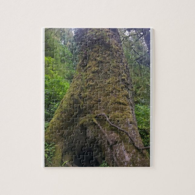 Giant Spruce Träd, Cape Perpetua, Oregon Pussel (Vertikal)
