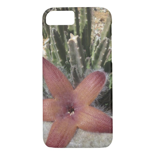 Giant Starfish Cactus Case-Mate iPhone Skal (Baksida)