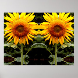 Giant Sunblommor, gult blommigt Poster
