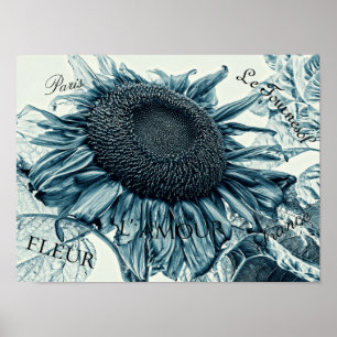 Giant Sunblommor Vintage Art Teal Blue Ephemera Poster