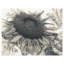 Giant Sunblommor Vintage Sepia Decoupage Ephemera