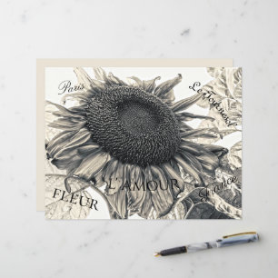 Giant Sunblommor Vintage Sepia Decoupage Ephemera