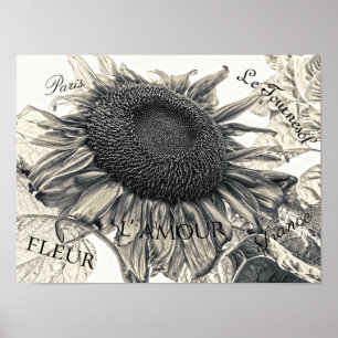 Giant Sunblommor Vintage Sepia Decoupage Ephemera Poster