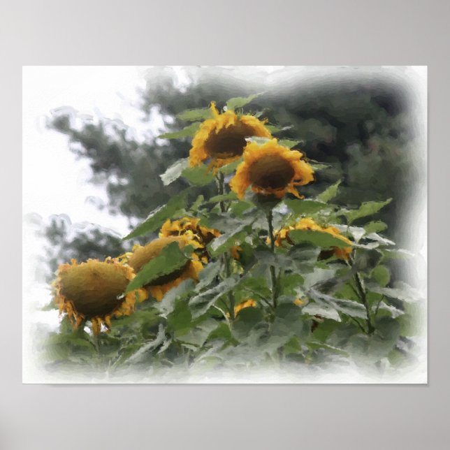 Giant Sunblommor Watercolor Photo Painting Poster (Framsidan)
