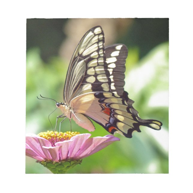 Giant Swallowtail Butterfly Anteckningsblock (Framsida)