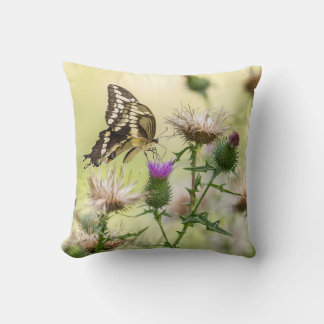 Giant Swallowtail Butterfly Kudde