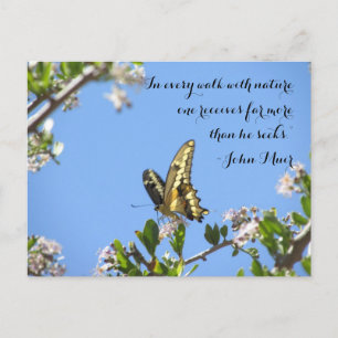 Giant Swallowtail Butterfly med John Muir Quote Vykort