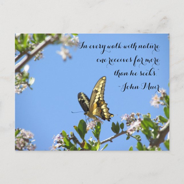 Giant Swallowtail Butterfly med John Muir Quote Vykort (Framsida)