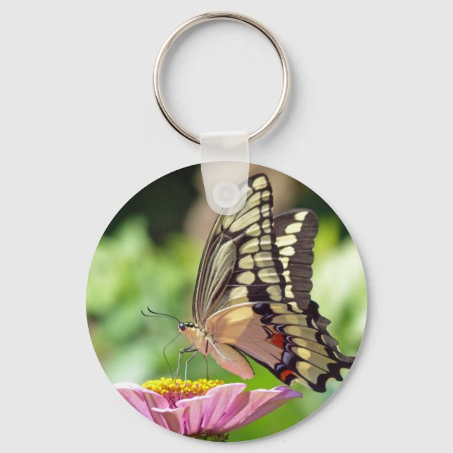 Giant Swallowtail Butterfly Nyckelring (Framsida)