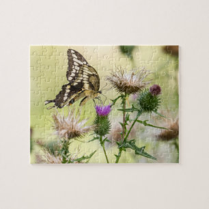 Giant Swallowtail Butterfly Pussel