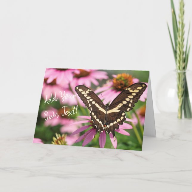 Giant Swallowtail Kort (Framsida)