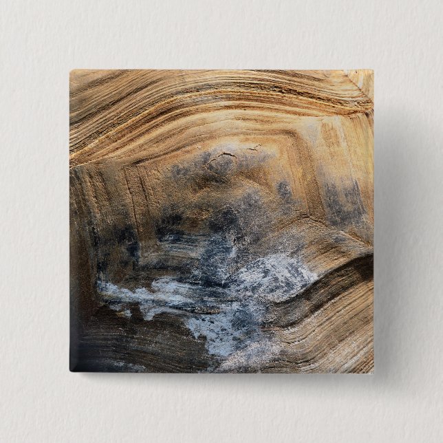 GIANT TORTOISE-SNÄCKA KNAPP (Framsida)