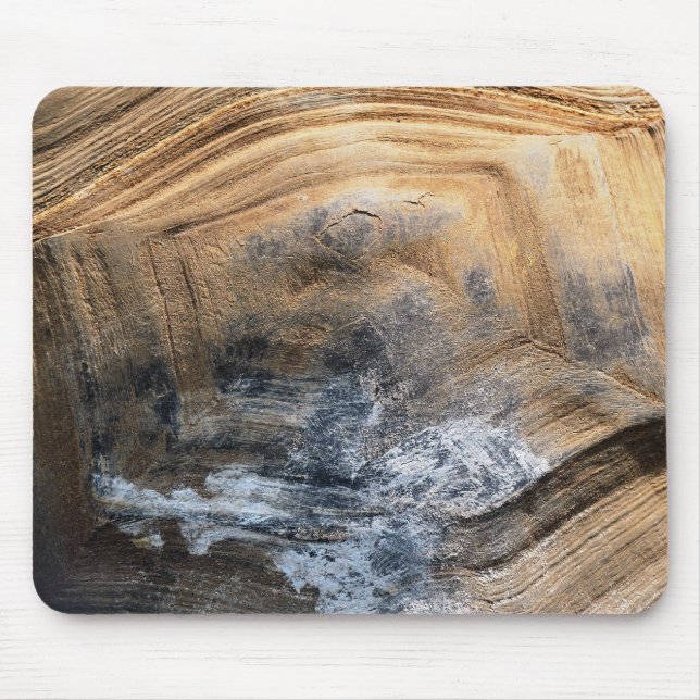 GIANT TORTOISE-SNÄCKA MUSMATTA (Framsidan)