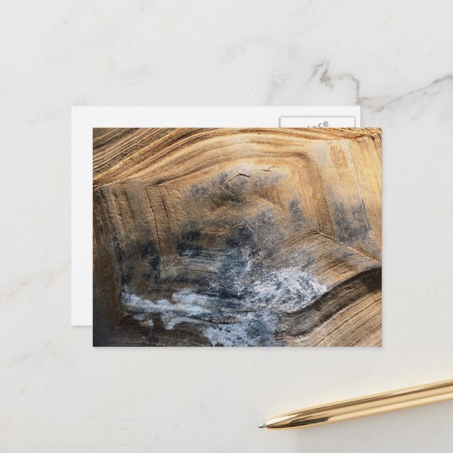 GIANT TORTOISE-SNÄCKA VYKORT (Fram/Back In Situ)