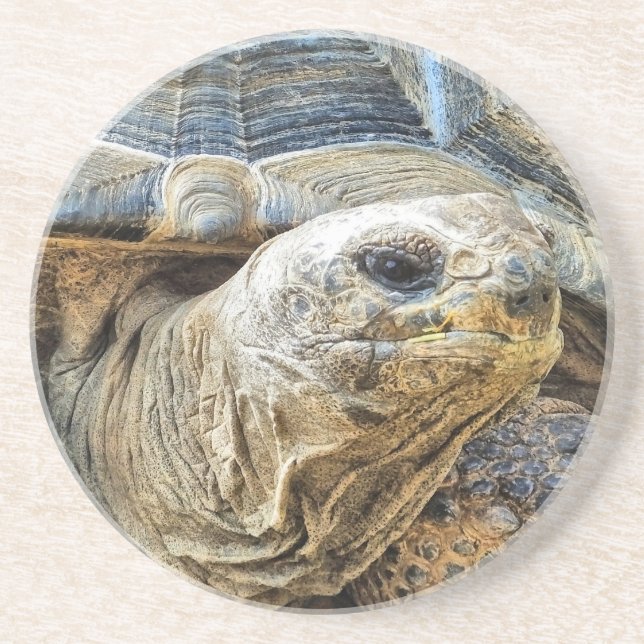 GIANT TORTOISE UNDERLÄGG (Framsidan)