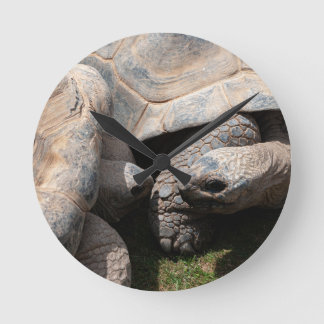 Giant Tortoises Art Photography Rund Klocka