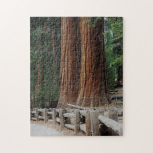 Giant Träd vid nationalparken Sequoia/Kung Canyon Pussel